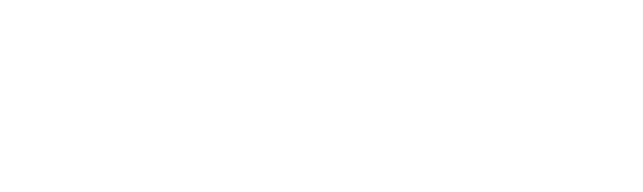 Blue Life USA