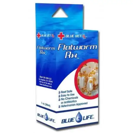 Flatworm RX